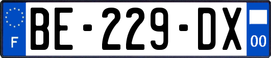 BE-229-DX