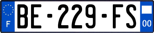 BE-229-FS