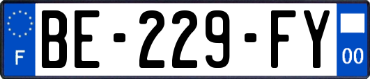 BE-229-FY