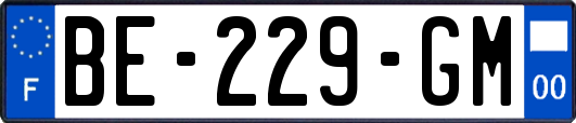 BE-229-GM