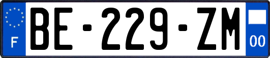BE-229-ZM