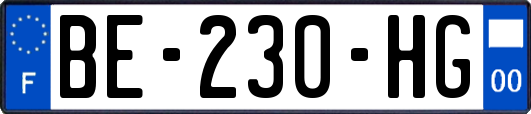 BE-230-HG