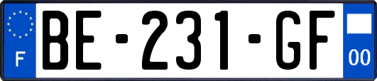 BE-231-GF