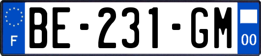 BE-231-GM
