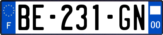 BE-231-GN