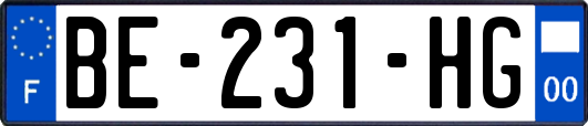 BE-231-HG