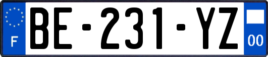 BE-231-YZ