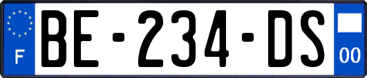 BE-234-DS