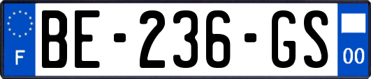 BE-236-GS