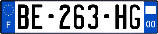 BE-263-HG