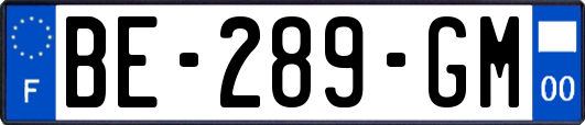 BE-289-GM