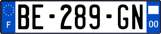 BE-289-GN