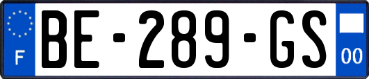 BE-289-GS