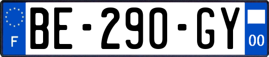BE-290-GY