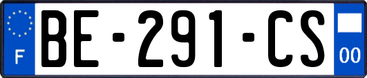 BE-291-CS