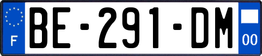 BE-291-DM