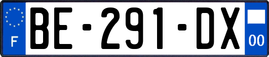BE-291-DX
