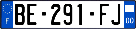 BE-291-FJ