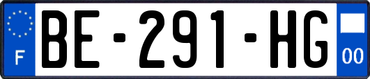 BE-291-HG