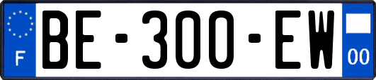 BE-300-EW