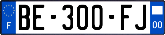 BE-300-FJ