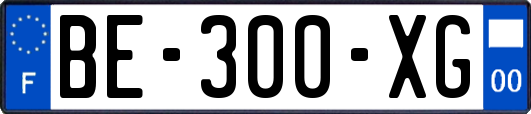 BE-300-XG