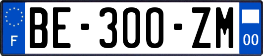 BE-300-ZM