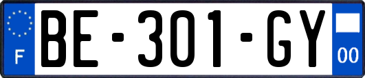 BE-301-GY