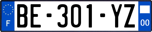BE-301-YZ