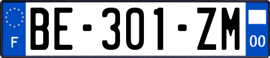 BE-301-ZM