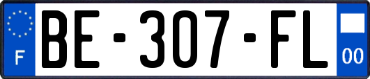 BE-307-FL