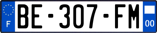 BE-307-FM