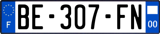 BE-307-FN