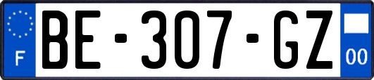 BE-307-GZ
