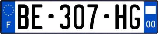 BE-307-HG