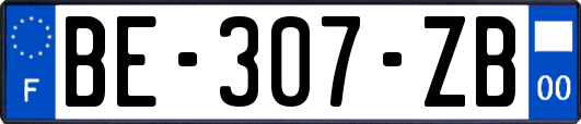 BE-307-ZB