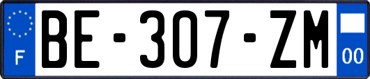BE-307-ZM