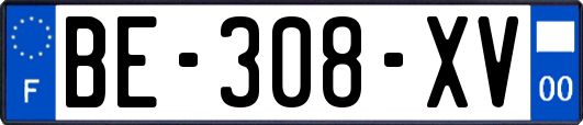 BE-308-XV