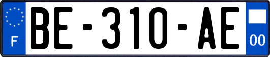 BE-310-AE