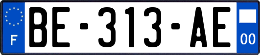 BE-313-AE