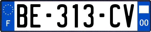 BE-313-CV