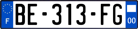 BE-313-FG