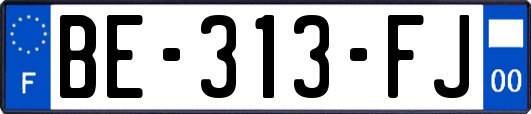 BE-313-FJ