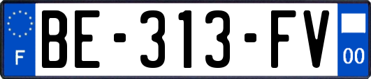 BE-313-FV