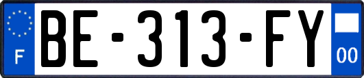 BE-313-FY