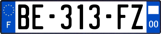 BE-313-FZ