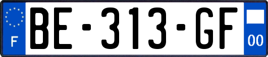 BE-313-GF