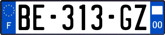 BE-313-GZ