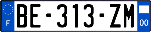 BE-313-ZM