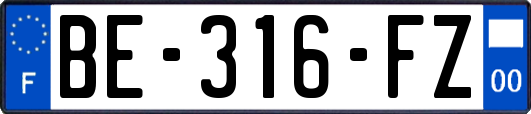 BE-316-FZ